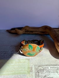 Image 1 of Nature 