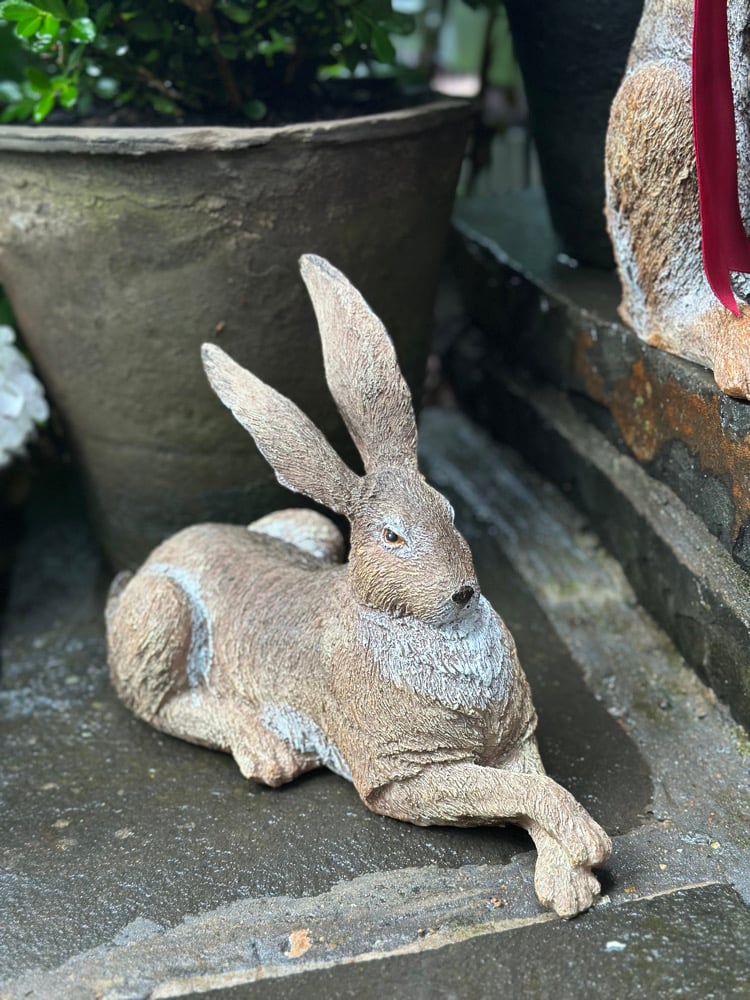 Image of Hare - Relaxing