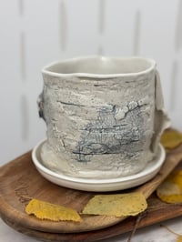 Image 3 of Birch bark Planter (#6)