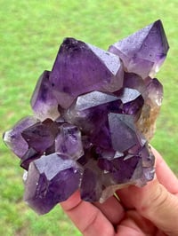 Image 4 of Amethyst Points Cluster | Congo #2870