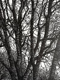 Image 2 of ‘Winter Ash’ Original Lino Print