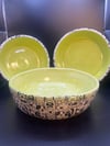 Dog Dishes