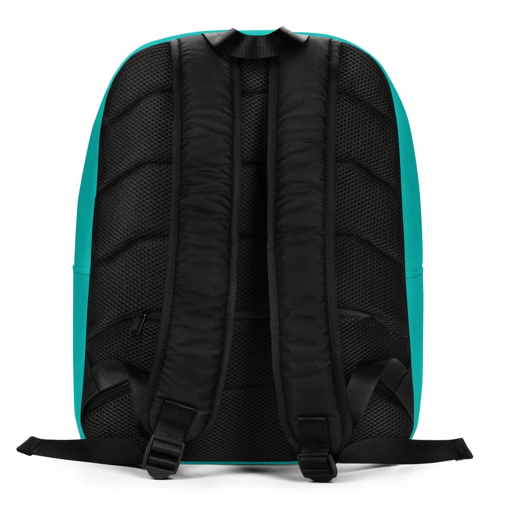 TCT Backpack