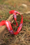 ‘Red Strap’ Lanyard