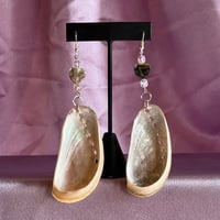 Image 1 of Abalone shell earrings (medium)