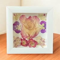 Image 4 of Gladiolus, Hydrangea, Stock Flower & Geranium in 6" X 6" Shadow Box (Item# 202401S)