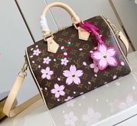Image 1 of LV Cherry Blossom Speedy