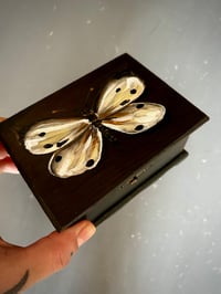Image 1 of Caja marrón con mariposa 