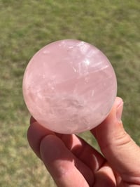 Image 1 of Star Rose Quartz Sphere #2982