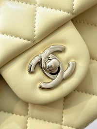 Image 21 of CC Classic Flap