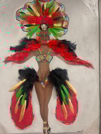 Image 4 of Carnival Ah Coming