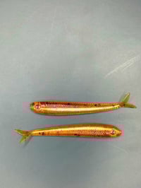 Image 1 of 3” Helter Smelter “Hot Honey/ Pearl” 