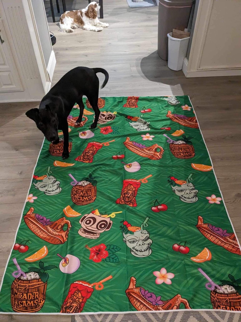 Beach Towels