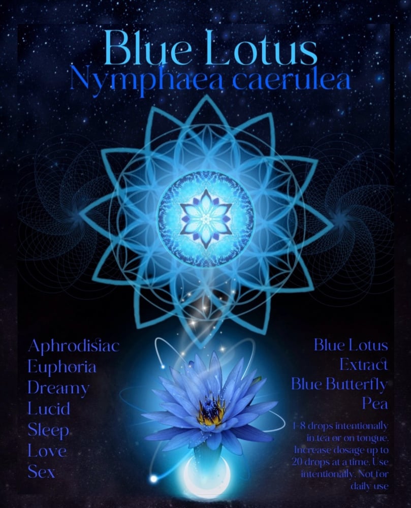 Image of Blue Lotus & Butterfly Pea Spagyric 4ml