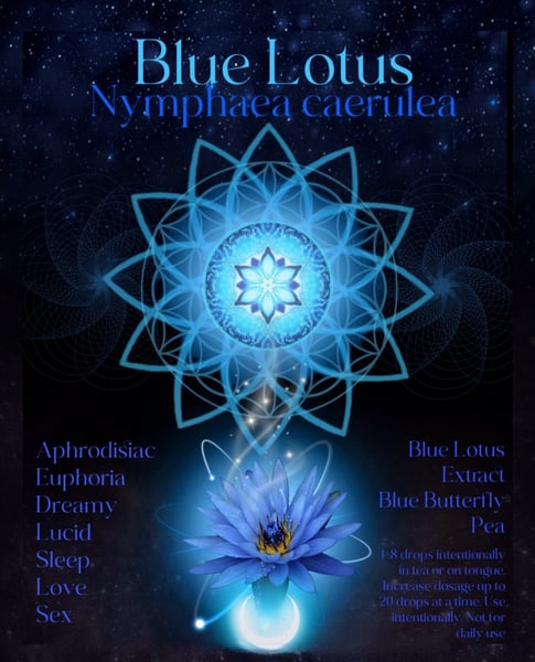 Image of Blue Lotus & Butterfly Pea Spagyric 4ml