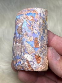 Image 6 of Boulder Opal #2409