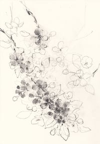Blossom I