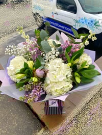 Country Hydrangea 