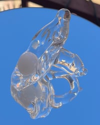 Image 3 of OSTRA