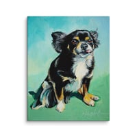 Image 4 of Springtime Pomeranian