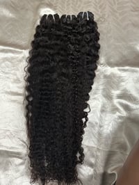 Image 3 of Burmese Curly 