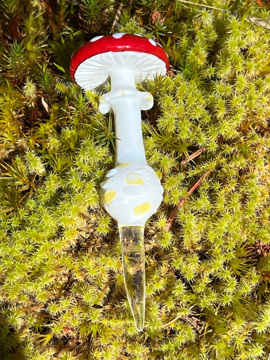 Image of Amanita Mushroom Plant Spike