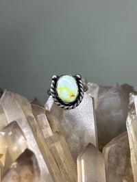 Image 1 of Palomino Variscite Ring size 5.5