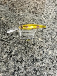 Golden Surprise 7