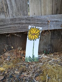 Image 5 of Flower
