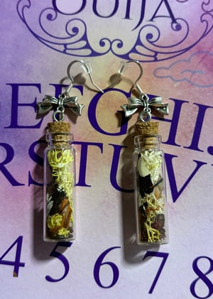 Image of Butterfly Wing + Garnet Bottle Earrings