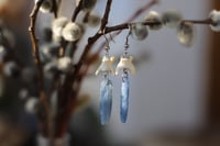 Image 5 of Orecchini Vertebre di mustelide e Kyanite