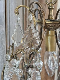 Image 3 of Le lustre à pampilles