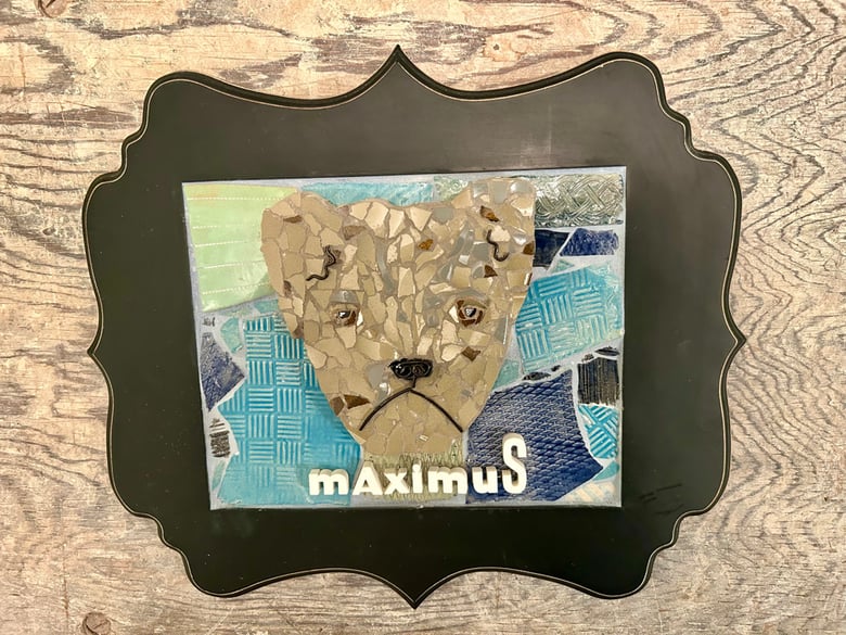 Image of Maximus, Reserved