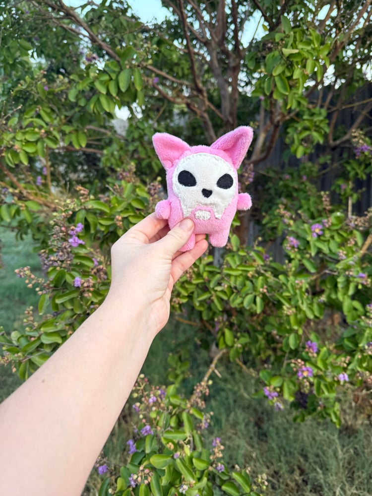 Image of Kitty skulks