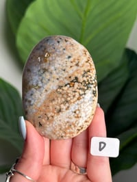 Image 4 of XL CHOOSE YOUR OWN ORBICULAR VEINLESS OCEAN JASPER PALM STONES -MADAGASCAR- 