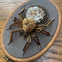 Image 2 of Snake skin spider (a, 4x5 inches)