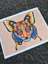 Tiger Butterfly print (8x10)