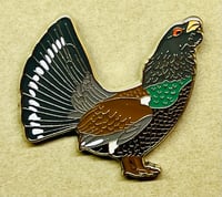 Image 2 of Capercaillie - No.11 - Bird Pin Badge Group Series 