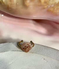 Image 19 of Shell Rings