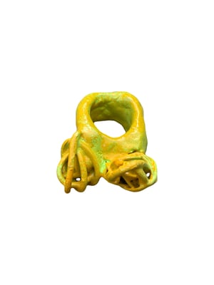 NUDIBRANCH 1