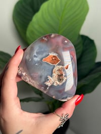 Image 3 of MOZAMBIQUE AGATE FREEFORM #24