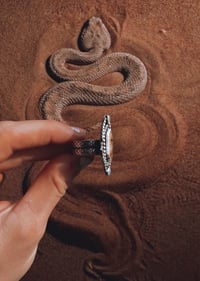 Image 2 of The Seeker Ring