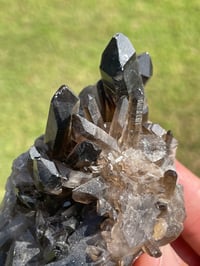 Image 5 of Smoky Quartz Crystal Points Cluster #2002