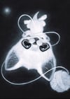 Astral Ghost Cat Art Print