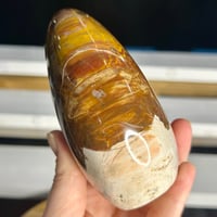 Image 3 of Petrified Wood Freeform (34A)