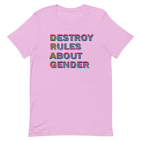 Image 4 of Destroy Rules About Gender
