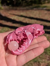 Image 1 of Pearly Pine Marten 