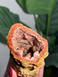 Image 2 of PINK CHALCEDONY GEODE -MOROCCO- E