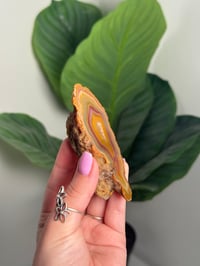 Image 2 of CONDOR AGATE -ARGENTINA- A