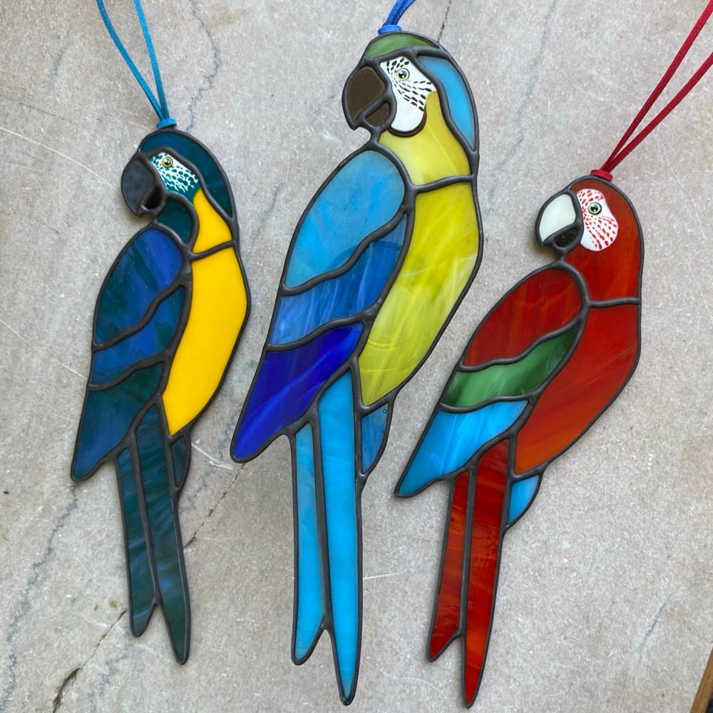 Image of Blue and Gold Macaw